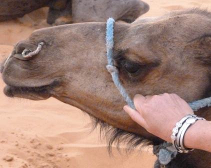 Africa - Marocco